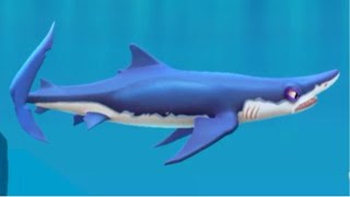 New BLUE SHARK Unlocked  Hungry Shark World Gameplay 5 [upl. by Idram832]