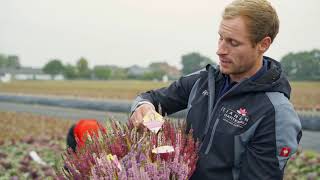 Unsere Produzenten Gartenbau Janssen [upl. by Norene]