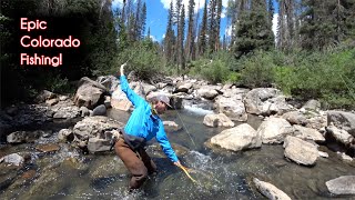 The TOP 10 fishing spots in Colorado  McFly Angler Fly Fishing [upl. by Amick]