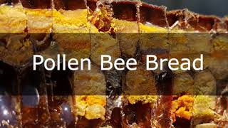 pollen bee bread [upl. by Devitt]