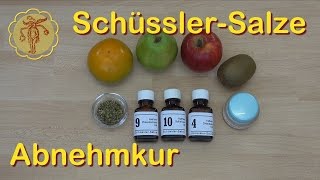 SchüsslerSalze Abnehmkur [upl. by Henleigh]