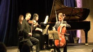 Gabriel Fauré  Trio avec piano en Ré mineur Op 120 [upl. by Ecnal]