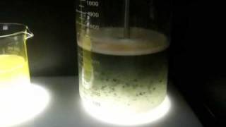 Electrocoagulation Treatment of Fluorescent Solution [upl. by Ened697]