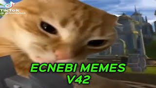 ECNEBI MEMES V42 [upl. by Hoskinson]