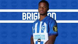 Ansu Fati Brighton Debut Highlights [upl. by Ynnavoeg]