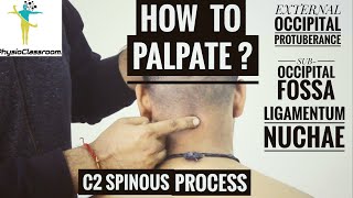 CERVICAL SPINE PALPATION  PART1 [upl. by Oirramaj799]