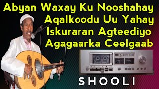 Abyan Waxay Ku Nooshahay  Cumar Shooli Hees Abyan  Iskuraran agteediyo Agagaarka Ceelgaab  shooli [upl. by Nigem]