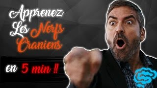 🔴 NE CONFONDEZ PLUS LES NERFS CRANIENS  part2  DR ASTUCE [upl. by Dragoon739]