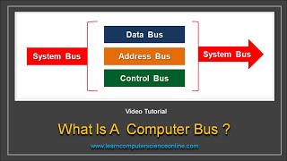 Computer Bus  What Is A Computer Bus   Computer Bus Types [upl. by Gearard]