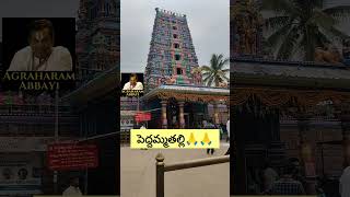 Jubilee Hills Peddamma thalli  Hyderabad Peddammatalli Temple  Hyderabad Shorts [upl. by Shay]