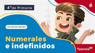 Numerales e indefinidos  Talentia español cuarto grado [upl. by Snashall]