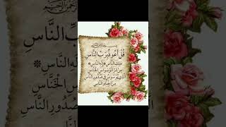 Surah naas tilawat e quraan balao se sifa viralshorts islamicnazar07 shorts yutubeshorts [upl. by Eimmak]