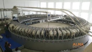 180 Stall Goat Rotary milking parlor Westfaliasurge  part 1 [upl. by Renny]