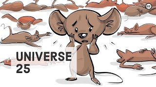 The Universe 25 Mouse Experiment [upl. by Ycnej]