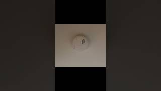 Smoke alarm beeping alarm [upl. by Asiel]