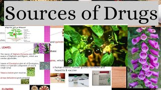 Sources Of Drugs in Pharmacology Natural Semisynthetic and Synthetic [upl. by Kailey]