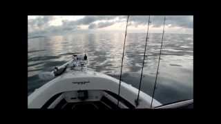 60HP Yamaha Outboard Review and 485 Streaker Boat [upl. by Atews871]