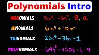 Intro to Monomials Binomials Trinomials Polynomials amp Terms  Eat Pi [upl. by Roby952]