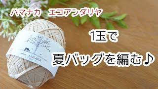 【かぎ針編み】23番☆ハマナカエコアンダリヤ１玉でミニバッグが編めました♡Crochet bag tutorial☆DIY [upl. by Narbig]