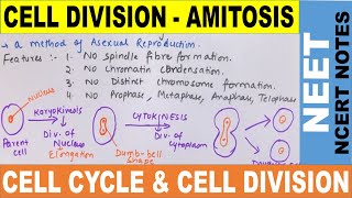 Amitosis Cell Division in Hindi  Direct Cell Division  Cell Cycle amp Cell Division  NEET 2020 [upl. by Eeralav]