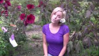 Different Types of Hibiscus Flowers  StepByStep Gardening [upl. by Cooley]