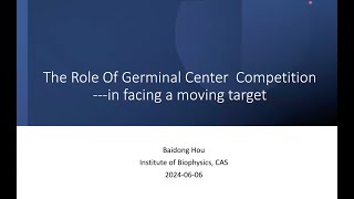 Germinal center competition [upl. by Frendel]