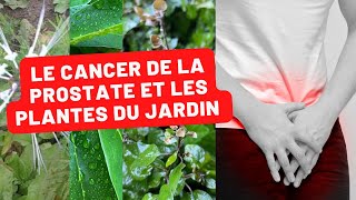 Jardin Créole et Santé Masculine  Les Plantes qui Combattent le Cancer de la Prostate [upl. by Metah]