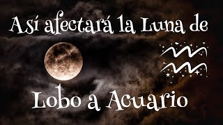 Luna del Lobo todo sobre la LUNA LLENA de Enero Y su Efecto sobre los Signos del Zodiaco Acuario ♒️ [upl. by Adikram738]