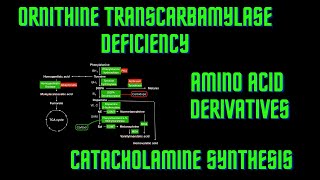 USMLE Step 1  Lesson 64  Ornithine Transcarbamylase Deficiency Amino Acid Derivatives [upl. by Ttoile]