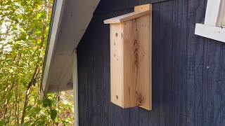 How to Build A Roosting Box Paul Meisel Design [upl. by Nirrad537]