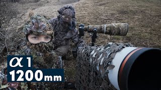 Je découvre la PHOTO ANIMALIÈRE et jai adoré   ft Marc Jardot [upl. by Nerra]