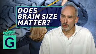 Does having a big brain make you smarter  Alain Goriely [upl. by Broder487]