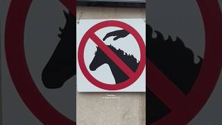 DO NOT TOUCH THE HORSE [upl. by Jacob]