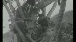 Kokoda  Front Line Diggers Fight Advancing Japanese Imperial Amy Kokoda Documentary [upl. by Ellemaj]