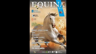 EQUINA GALICIA 2024 [upl. by Davita]