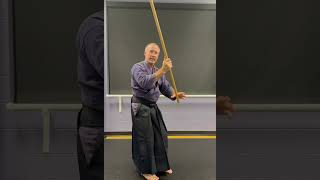 Aikido Jo tutorial Yokomen [upl. by Lohman]