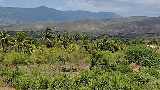 le paysage du Bassin bleu en Haïti dans le département Nord ouest 🇭🇹🥰 [upl. by Nanahs731]