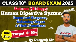 Human Digestive System  Important Enzymes amp Their Functions class10th biology board2025 oneshot [upl. by Owain]