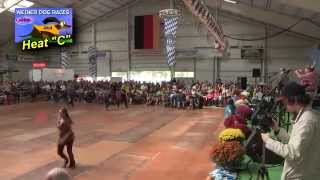 2014 Frankenmuth Oktoberfest Wiener Dog Races  The Heats amp Finals [upl. by Eitisahc715]