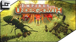 I AM AN ANT GOD Empires of the Undergrowth Gameplay Ep 1 [upl. by Racso]