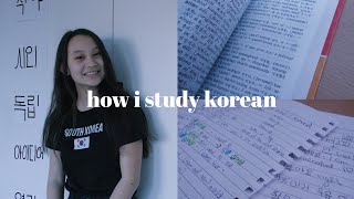 EINE SPRACHE SELBST LERNEN  How I Study Korean [upl. by Heater752]