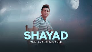 Morteza Jafarzadeh  Shayad  OFFICIAL AUDIO TRACK مرتضی جعفرزاده  شیاد [upl. by Devondra]