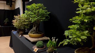 Danish Bonsai Exhibition [upl. by Marylin]