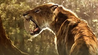 Smilodon Populator vs Machairodus Lahayshipup paleontology prehistoric cats bigcats cenozoic [upl. by Vtehsta]