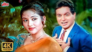 Tere Husn Ki Kya Tareef Karoon 4K  Rafi  Lata Romantic Song  Dilip Kumar  Vyjayantimala  Leader [upl. by Londoner272]