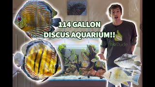 114 Gallon 120cm Rimless Planted Discus Aquarium by The Bio Dude [upl. by Zebaj932]