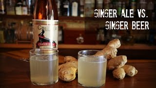 Ginger Ale vs Ginger Beer what’s the difference [upl. by Alleiram345]