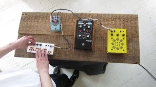 Critter amp Guitari  Bolsa Bass  Pedals [upl. by Van]