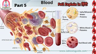 Plasma Protein  Fibrinogen  Serum Miliral solt Nutrients  Waste Product Harmones enzyme [upl. by Lah247]