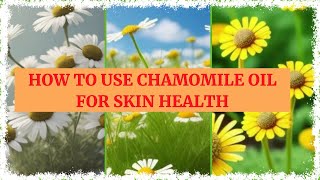 What are the Best Ways to Apply Chamomile Oil on Skin [upl. by Ynttirb]